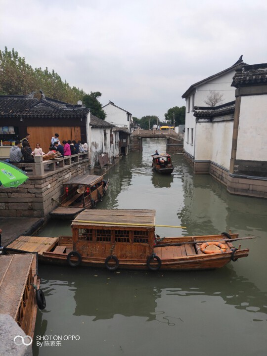 读了羊皮卷的人的图片