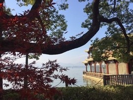 明月清泉渔舟浣纱主播照片