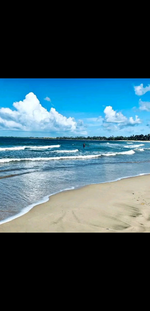 人世间最大的风险是学错问错