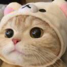 熊猫i3