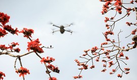 真言叔叔相约在怒江主播照片