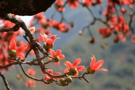 真言叔叔相约在怒江主播照片
