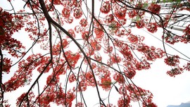 真言叔叔相约在怒江主播照片