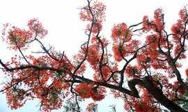 真言叔叔相约在怒江主播照片