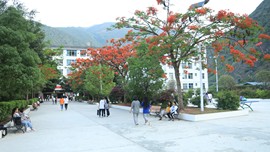 真言叔叔相约在怒江主播照片