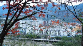 真言叔叔相约在怒江主播照片
