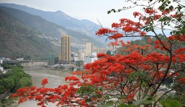 真言叔叔相约在怒江主播照片