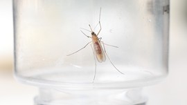 真言叔叔相约在怒江主播照片