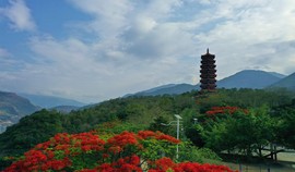 真言叔叔相约在怒江主播照片