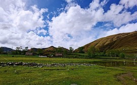 、一袭青衣卧龙城主播照片