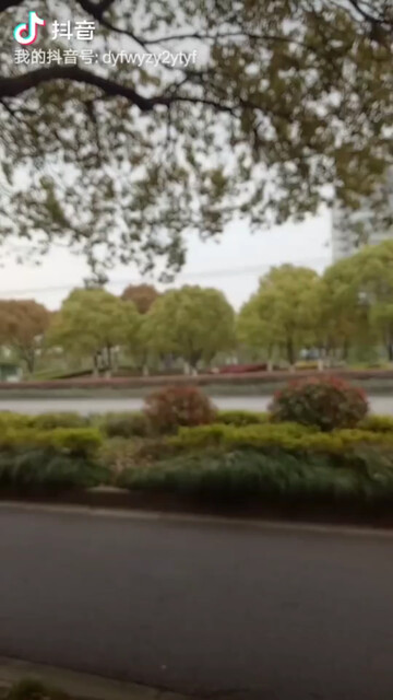 上海市奉贤区新四平路