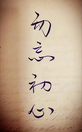 落叶无痕，主播照片