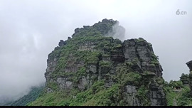 ～山水间🌴竹海～主播照片