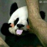 美好明天ok主播照片