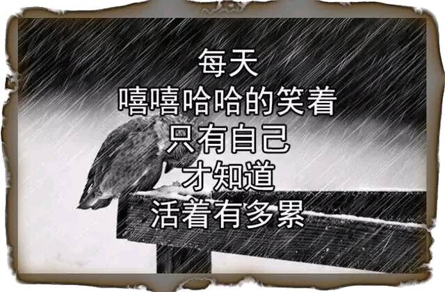 落叶无痕，的主播照片