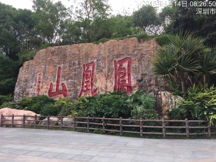 肆哥💕吉祥的主播照片