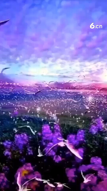 合一张最假的照骗呵～