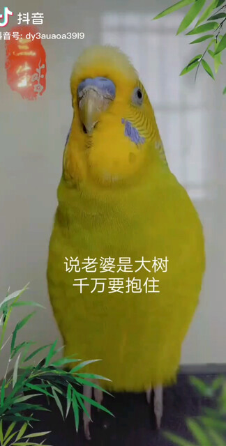 说的好，哈哈