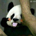 高兴想见谁⛄主播照片