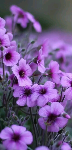 每天都是新的开始-卓锋固达