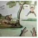 钰尔康x