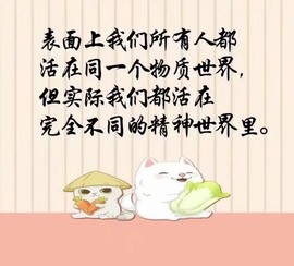 兔小宝爷主播照片