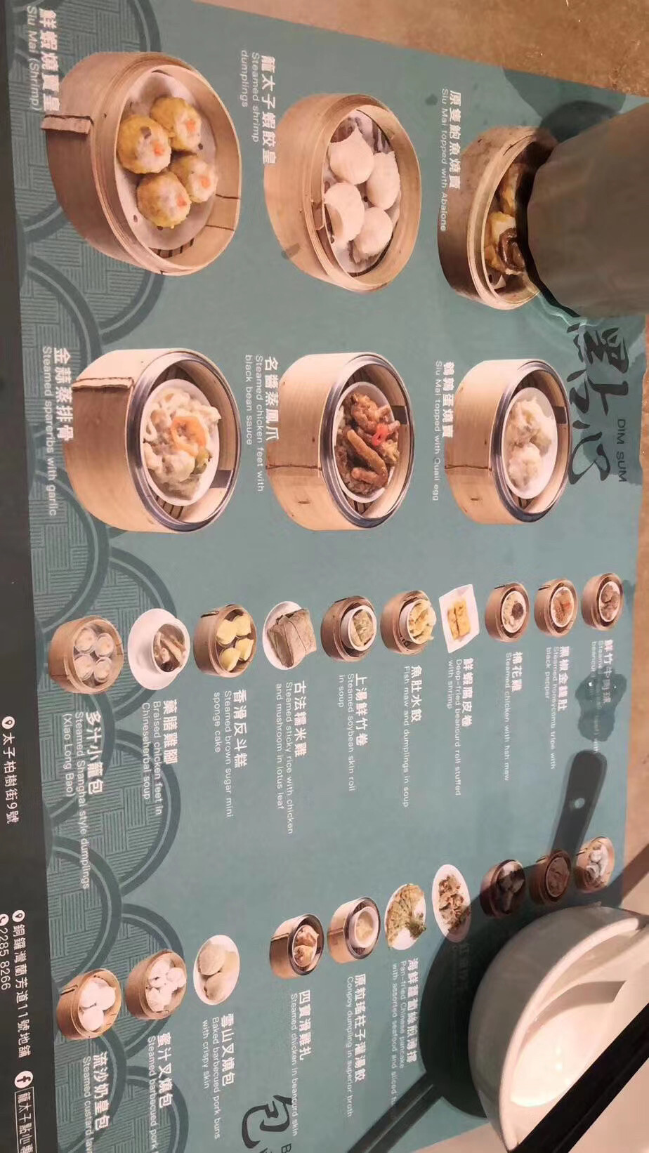 宠语者主播照片
