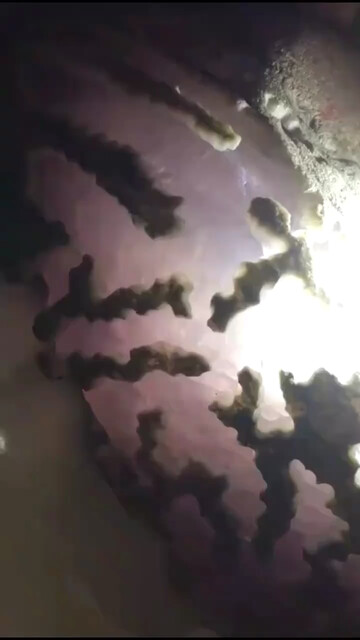 后江冰春