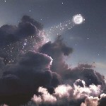 不吃茄子