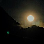 沙里仙头像