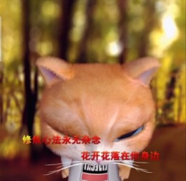 萌萌哒猎手主播照片