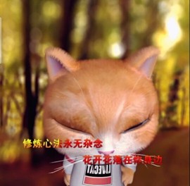 萌萌哒猎手主播照片