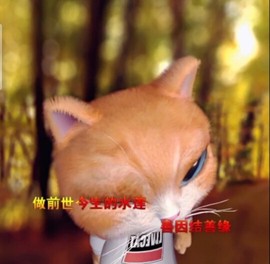 萌萌哒猎手主播照片