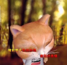 萌萌哒猎手主播照片