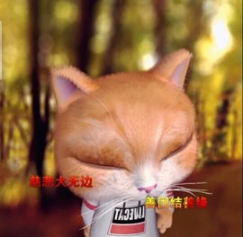 萌萌哒猎手主播照片