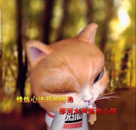 萌萌哒猎手主播照片