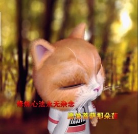 萌萌哒猎手主播照片