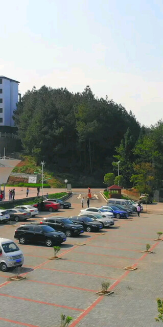 重庆万州凤凰花果山