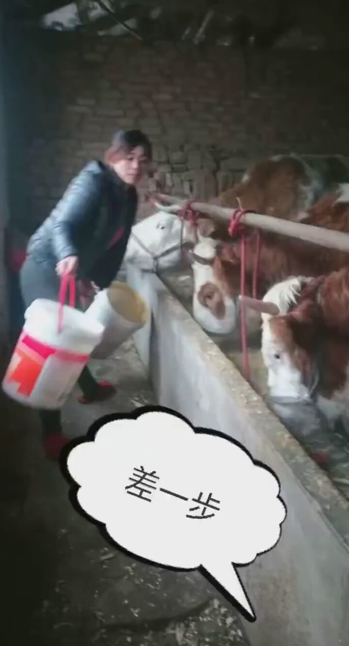 谁会担心失去我