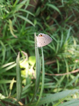 ♬默默✨小蛮宝☞🌜主播照片
