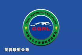 钱从我这来主播照片