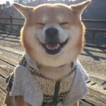 ℡胖大叔