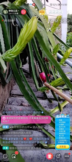 福建迪丽热巴主播照片