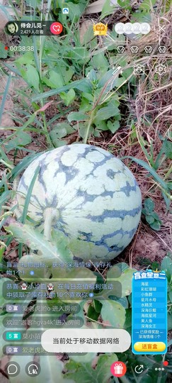 福建迪丽热巴主播照片