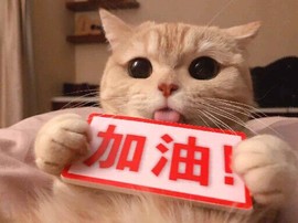 ♈恶魔愿陪你独守♈主播照片
