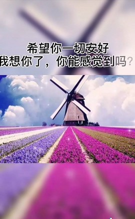 ♬默默✨小蛮宝☞🌜主播照片