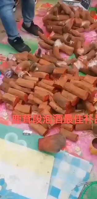 鹿茸泡酒