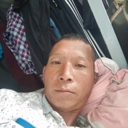 大树上的鸟儿成双对
