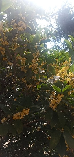 高脚凳主播照片