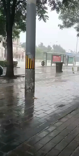 这几天有雨，家人们出门带好雨具